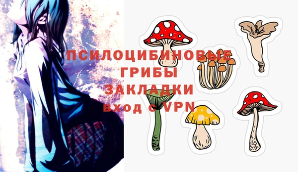 крисы Сафоново