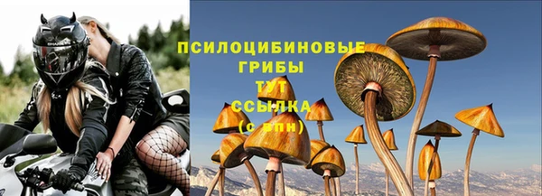 крисы Сафоново