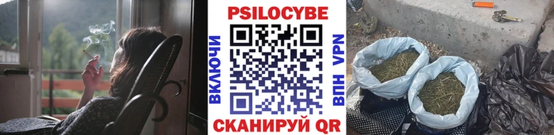 Псилоцибиновые грибы мицелий Купить закладки Шиханы
